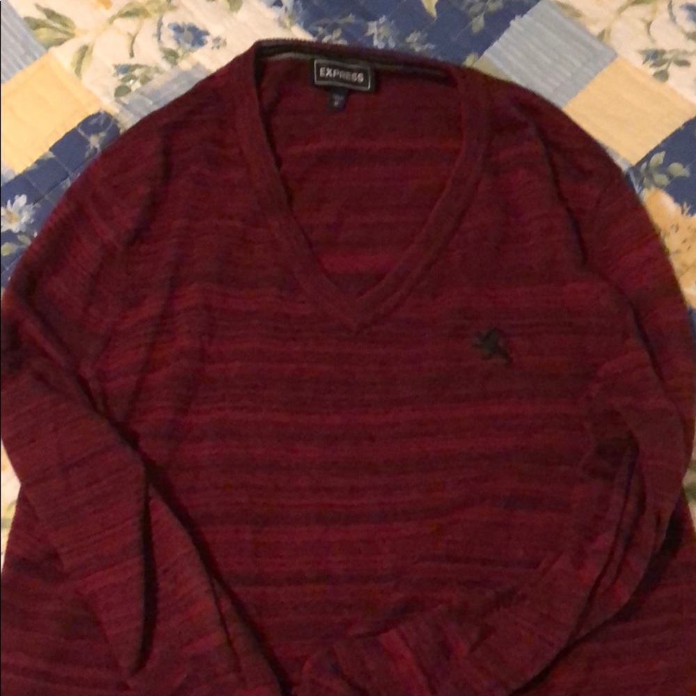 Express v-neck sweater